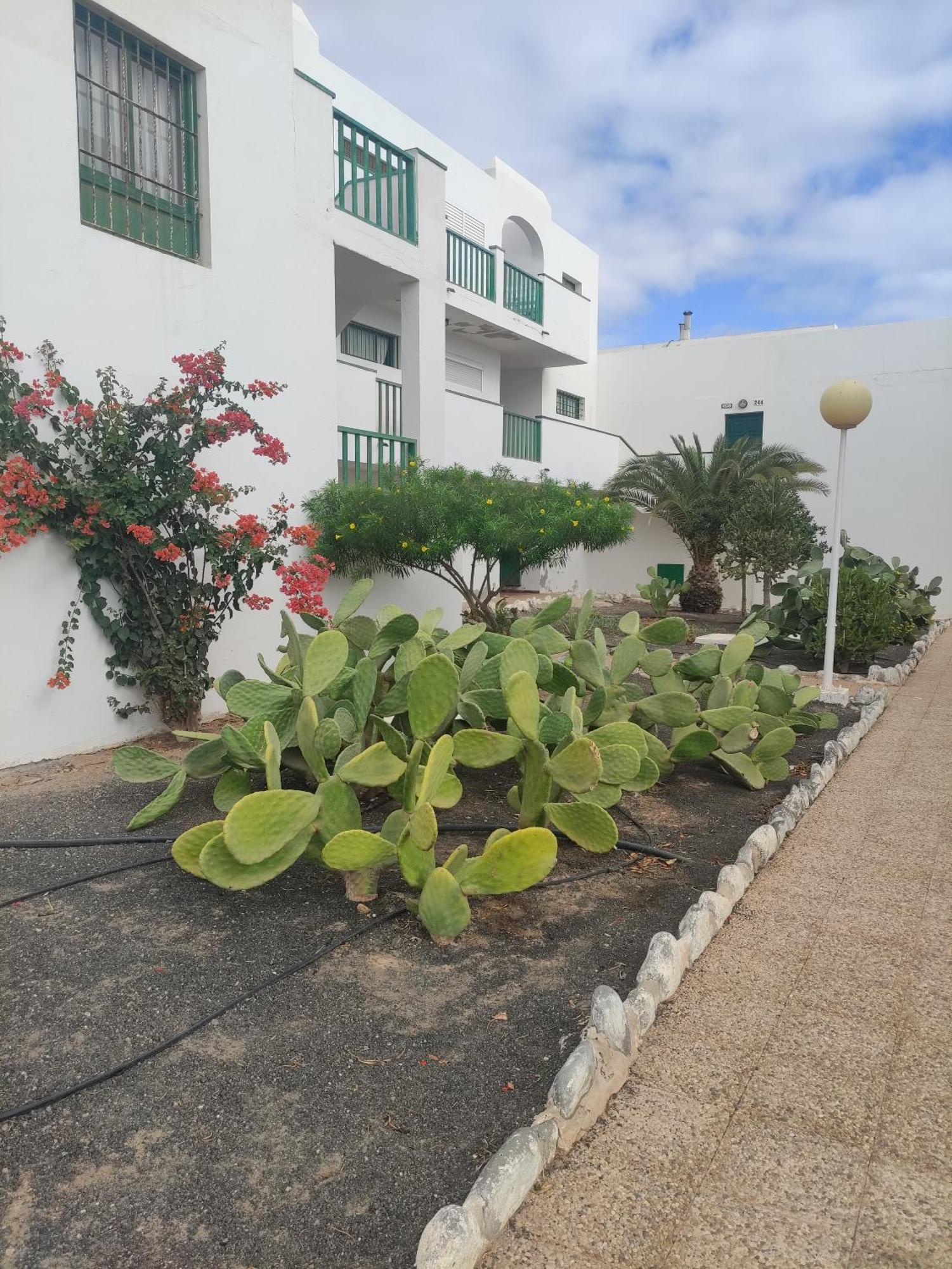 Apartmán Casita Perla Blanca Costa De Antigua Exteriér fotografie