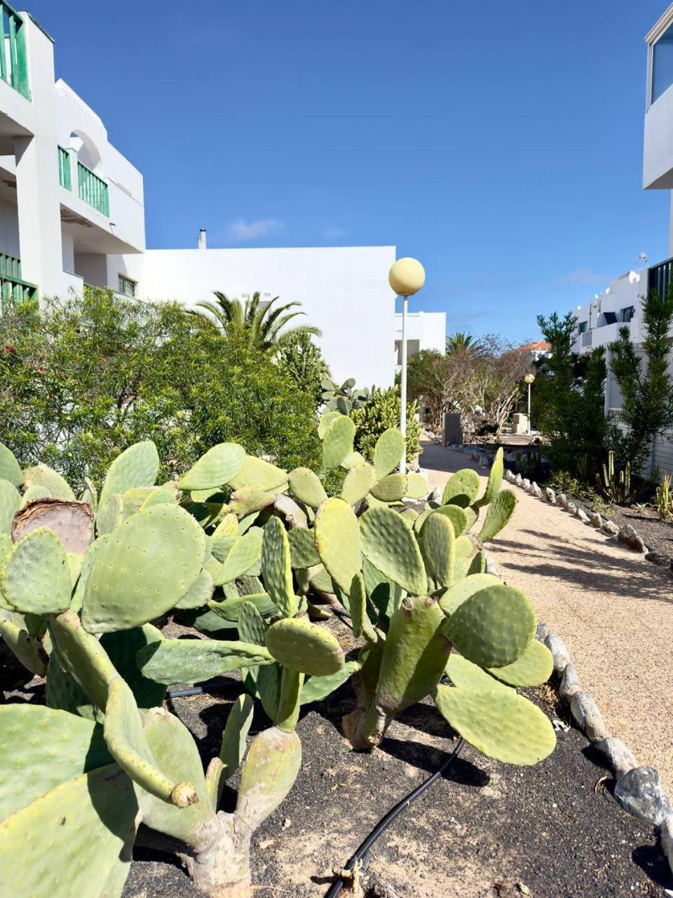 Apartmán Casita Perla Blanca Costa De Antigua Exteriér fotografie
